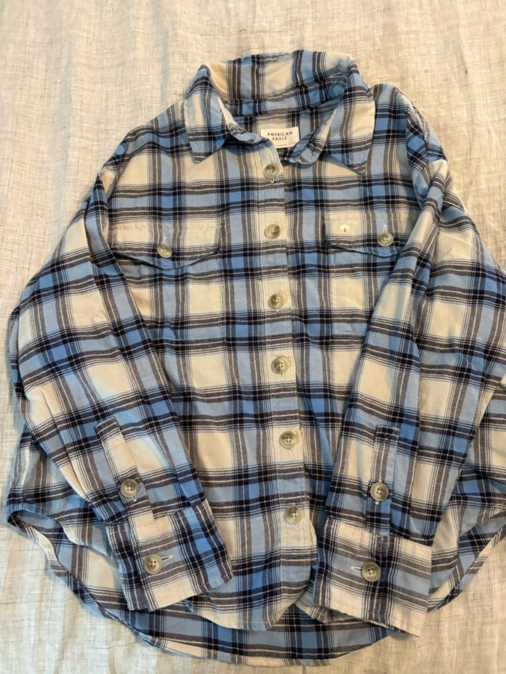 American Eagle Outfitters Blue and White Plaid Button-Down Shirt